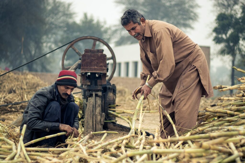 food man people village